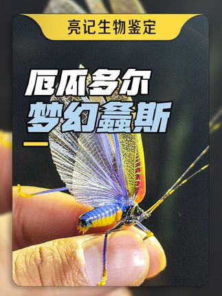 无穷小亮的科普日常