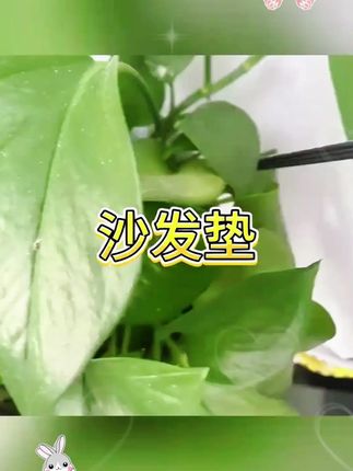 布艺沙发垫简约防滑防猫弹力通用型ins条纹全盖盖布巾 #沙发盖罩 #沙发布 #沙发盖布 #沙发盖巾 #沙发垫