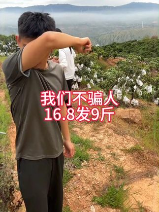 它是来自四川攀枝花的凯特芒,虽然皮是绿色的,但果肉已经成熟了,你看这金黄饱满的果肉,吃起来又香又甜,汁水超多,特别爽口,喜欢的朋友赶紧下单吧!#凯特芒果#芒果#新鲜应季水果