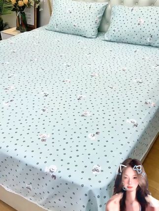 加厚床单三件套秋冬新款保暖透气吸湿双人可机洗炕单亲肤耐磨宿舍