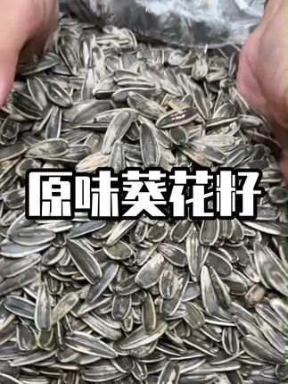 #瓜子 #现炒现发 喜欢嗑瓜子的赶紧囤#超便宜超划算 #原味瓜子 #嗑瓜子 #农产品