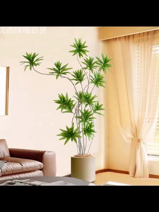 北欧ins风落地仿生绿植仿真植物盆栽百合竹室内客厅假树装饰摆件#空间美学 #装修设计 #家的样子 #软装搭配 #室内盆栽