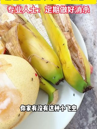 自从家里用了#蟑螂魔盒 家里就没有小强啦,还是不用火不用电的#好物分享 #母婴好物