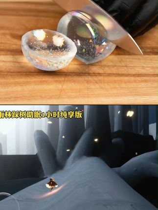 粘毛器