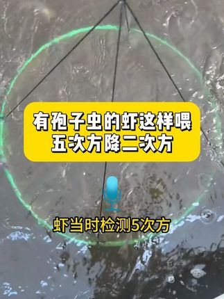 有孢子虫的虾这样喂,五次方降二次方#水产养殖 #渔德盛 #南美白对虾 #罗氏虾 #小棚养虾
