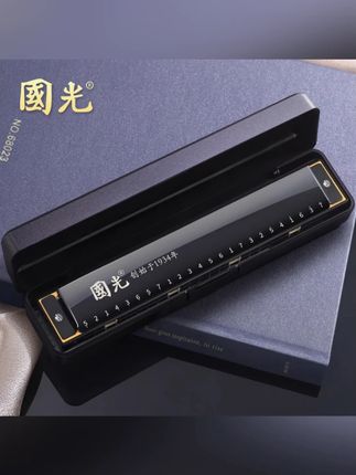 国光上海老品牌口琴24孔复音C调初学者自学入门带音阶演奏乐器#国光口琴 #24孔复音口琴 #C调口琴 #初学者乐器 #自学口琴