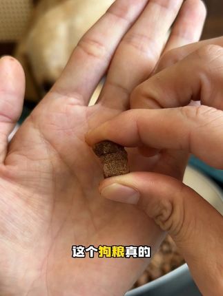 软软糯糯的质地,搭配益生菌和益生元 肠胃不好 牙口不好的狗狗直接冲  #老年犬粮 #狗粮推荐 #狗粮 #科学养狗 #ATDO老年犬狗粮