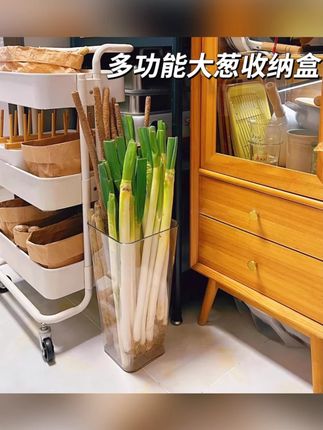 多功能大葱收纳盒铁棍山药透明收纳桶厨房姜蒜食材大容量整理筒#大葱收纳桶 #厨房收纳 #食材整理 #多功能 #大容量