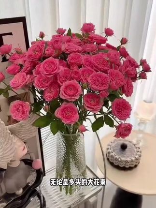 【大号30cm/两只装】冰川纹花瓶简约玻璃花瓶高级感轻奢颜控
