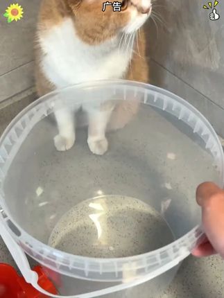 天气一热,每天要给猫咪倒水,懒得搞了,这个大容量自动续水的就蛮好用,还便宜,放假过节几天不在家也够喝#萌宠好物 #宠物饮水机 #懒人养宠 #新手养猫