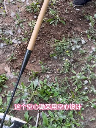 锰钢加厚空心锄,锄草不兜土,干活特别省力,全身淬火,锋利无比,铲草刷刷快#锄头#锄草#空心锄头
