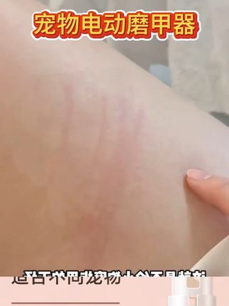 【平替好物】宠物电动磨甲器狗狗猫咪鹦鹉安全修指甲充电款清洁耐磨 【平替好物】宠物电动磨甲器狗狗猫咪鹦鹉安全修指甲充电款清洁耐磨