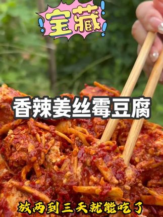 方便可爱的农家手工霉豆腐乳香辣下饭又开胃 #霉豆腐豆腐乳 #下饭神器 #美食分享 #姜丝霉豆腐 #家乡特产