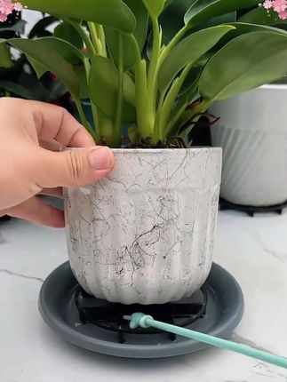 花盆底部透气托架花盆隔热底托塑料底部垫高支架盆栽透气垫防烂根花盆透气垫