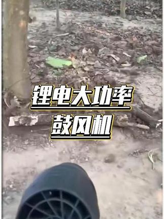 锂电大功率鼓风机涵道涡轮暴力风扇工业吹风机除尘除雪吹水#暴风机 #暴力风扇 #大功率风扇 #鼓风机 #好物推荐🔥