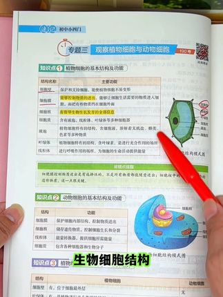 初中三年小四门的所有知识点和考点都在这套书里了,吃透他们,考试不发愁#小四门