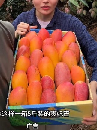 #芒果 #贵妃芒 #测评 Q