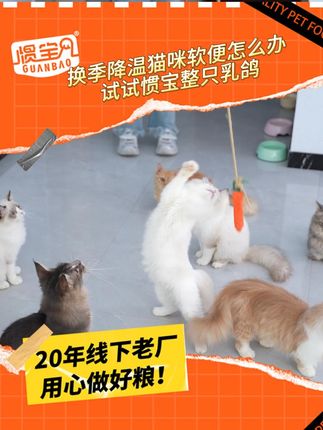 换季降温猫咪软便怎么办,试试惯宝整只乳鸽 #萌宠好物 #猫粮 #养猫新手 #猫粮推荐