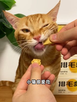 金色宠的排毛救星,鸡肉打底,还能帮猫咪温和排毛 #排毛冻干 #金色宠 #萌宠好物 #喂猫日记 #快赶紧拿给猫猫吃吧