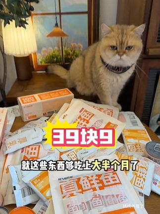 阿飞和巴弟的美毛尝鲜礼包来啦!到手10几件巨划算#阿飞和巴弟 #新手养猫 #猫咪掉毛 #猫粮 #猫罐头
