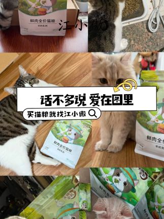 白月光一定要是人吗,江小傲猫粮我吃一辈子 #江小傲 #乳鸽猫粮 #新手养猫 #江小傲猫粮 #白月光