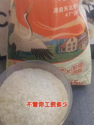 这个东北五常大米,口感软糯香甜 有嚼劲#五常大米 #东北大米就是香 #大米 #民以食为天 #五谷杂粮