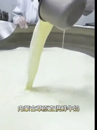 【高钙100根】内蒙古牛奶条奶棒无蔗糖鲜牛奶乳酪棒营养软糯