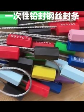 一次性钢丝封条铅封锁扣防盗扣集装箱铅封条物流吊牌标签扎带塑料 #铅封 #电子铅封 #物流运输 #物流车铅封 #钢丝铅封