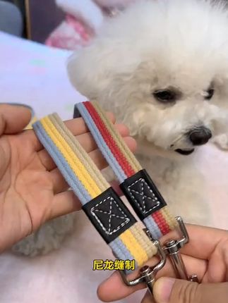 #牵引绳 #狗狗牵引绳 #狗绳 #遛狗绳 #狗链子