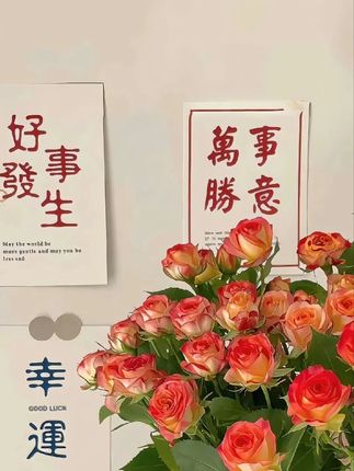 # 杜克和一哥 # 杜克环游世界 # 孟加拉的故事 # 交换世界计划
