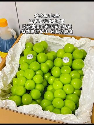 阳光玫瑰葡萄新鲜水果晴王香印青提当季顺丰包邮现货#新鲜应季水果 #阳光玫瑰 #阳光玫瑰葡萄价格下跌 #阳光玫瑰葡萄跌下神坛 #优质农产品