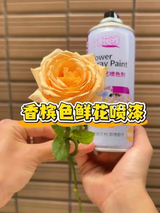 别看它价格便宜,用是真的好用,香槟色新款上新#鲜花喷漆  #花店专用喷漆  #喷漆  #香槟  #好物推荐