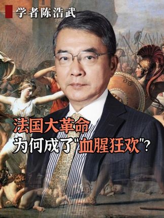 法国大革命为何成了“血腥狂欢”?#法国大革命 #历史 #文明 #陈浩武