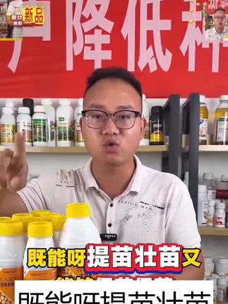 #大豆荚多粒粒宝