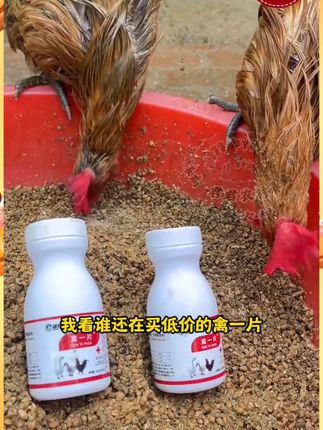就这一瓶,养鸡人必备,使用方法简单,给鸡鸭鹅鸽子喂一片,工厂直发没省去中间商差价