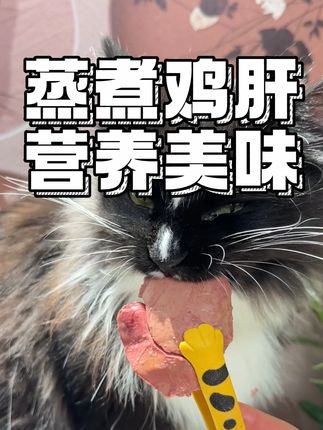 你家毛孩子要是挑食了,就给它用这个拌粮吃,保管它匡匡炫#狗狗 #养狗经验分享 #新手养狗 #萌宠出道计划 #无限回购的宝藏单品
