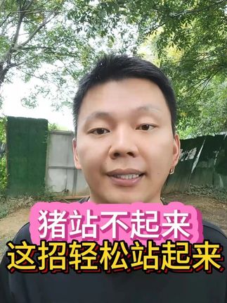 猪站不起来,这招轻松站起来! #养猪经验 #养猪技术 #养猪小妙招 #猪站不起来 #无限回购的宝藏单品