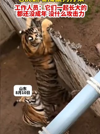 #学习桌椅 餐桌凳子加大餐桌凳熟塑料等位餐厅炫彩餐凳凳子时尚#风车凳  #餐凳 #凳子 #超便宜超划算