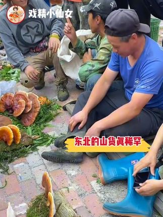东北的山货真稀罕~ 看起来像是树枝的东西,竟然是东北黄芪,在东北的集市,可以看到很多山货,秋季是山货采摘的黄金季#东北的山货真稀罕 #丰收的味道在抖音 #舌尖上的抖音 #中国农民丰收节 #秋天的第一口鲜
