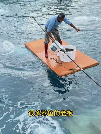 超强硅藻种!厂家直发,多拍多送#水质问题 #鱼虾蟹养殖 #水产人 #养鱼先养水