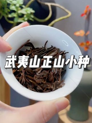 福建武夷山正山小种全发酵浓香型红茶茶叶特产#武夷山正山小种 #正山小种 #红茶 #茶叶