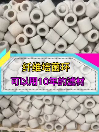 新手养鱼选择滤材,就选纤维培菌环,不易粉化、PH值稳定 #滤材选择 #鱼缸过滤 #空气缸过滤 #水族 #观赏鱼