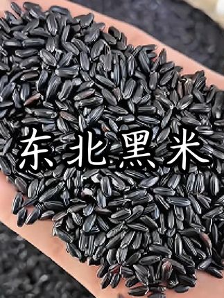 今年的新米来啰,东北五常黑大米 #粗粮 #黑米 #东北黑米 #五谷杂粮