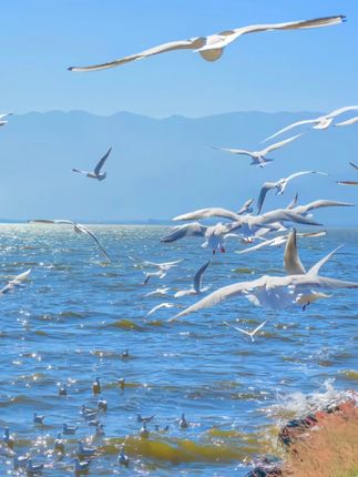 小沐马儿童马桶楼梯式男小孩女宝宝上厕所专用阶梯坐便器圈踩脚凳