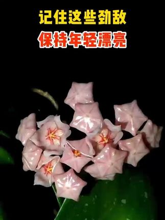 疤痕祛除最少需要多长时间呢 #淡疤#疤痕#疤痕增生#疤痕体质#淡疤小行家