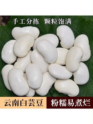 白芸豆农家自种五谷杂粮另售黑豆红豆赤小豆白扁豆薏米仁 #白芸豆 #云南白芸豆