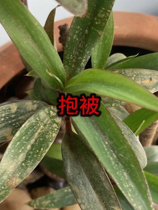 #母婴好物 #新生儿用品 #育儿必备