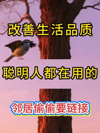 纯白7英寸螺纹深盘4/6个装家用加厚高颜值盘陶瓷餐具菜盘子汤盘 #陶瓷深盘 #螺纹餐盘 #家用菜盘 #汤盘 #高颜值餐具