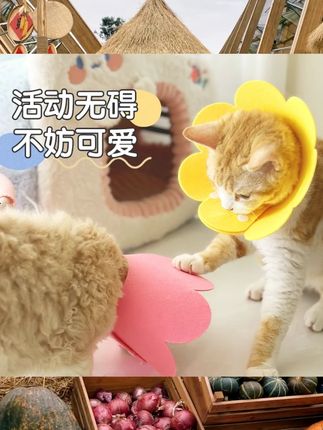 伊丽莎白圈猫咪绝育项圈伊利沙白圈防舔颈圈头套狗狗脖圈宠物用品  #新手养宠 #宠物用品 #趣味养宠