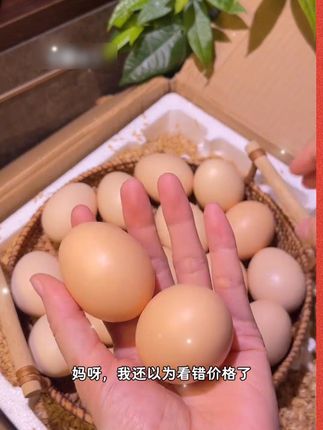 #土鸡蛋 #农家散养土鸡蛋 #好吃又营养 #鸡蛋 #优质农产品